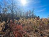 0000 Jesse Smith Road - Photo 31