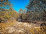0000 Jesse Smith Road - Photo 45