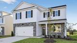 20 Tiger Eye Drive - Photo 1
