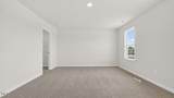 8 Tiger Eye Drive - Photo 33