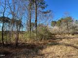 523 New Elam Church Road - Photo 5