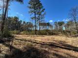 523 New Elam Church Road - Photo 6