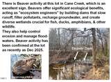 6061 River Run Trail - Photo 48