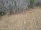 Lot 21 Sandy Plains Lane - Photo 2