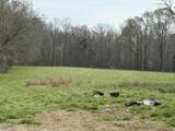 Lot 2 Winfred Brady Road - Photo 1