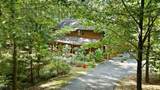 1003 Blackwood Mountain Road - Photo 48