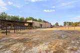 24 Douglas Williams Road - Photo 62