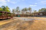 24 Douglas Williams Road - Photo 64