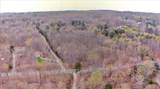 0 Bass Mountain Road - Photo 19