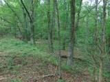Lot 2 Caviness Jordan Road - Photo 10