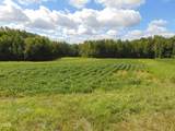 Lot 2 Caviness Jordan Road - Photo 11