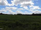 Lot 2 Caviness Jordan Road - Photo 9