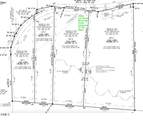 Lot 3 Doyle Cox Road - Photo 4