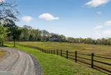 548 Double N Road - Photo 78