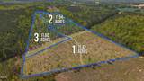 11.42 Acre Social Plain Road - Photo 3