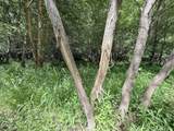 0 Tar River Rd Road - Photo 14