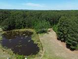 87 Hortons Pond Road - Photo 7