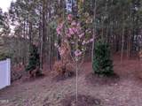 309 Napa Ridge Lane - Photo 38