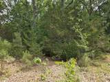 4901 Bluebird House Lane - Photo 9