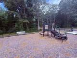 325 Longleaf Glen Lane - Photo 50