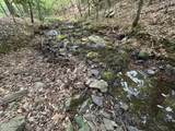 0 Beaver Dam Road - Photo 4