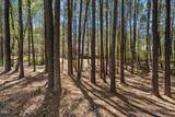 2509 Barton Ridge Court - Photo 55