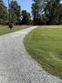 1528 Micro Road - Photo 9