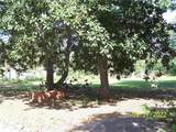 706 Raleigh Street - Photo 5