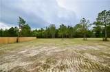 2919 Lemuel Black Road - Photo 38