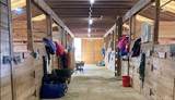  Western Trail - Photo 6