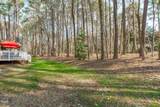 11808 Black Horse Run - Photo 4