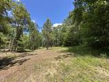 6229 Horse Fly Trail - Photo 15