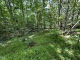 6229 Horse Fly Trail - Photo 17