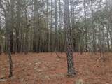 13 Saw Grass Road - Photo 1