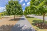 52 Balfour Run - Photo 44