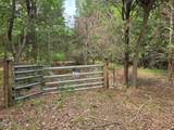 4901 Bluebird House Lane - Photo 3