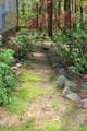 1309 Wakefield Farm Road - Photo 8