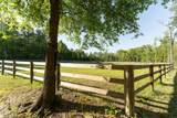 104 Bridle Path Lane - Photo 14