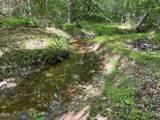 00 Gentry- Massey Road - Photo 2