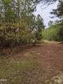 0 E Governor Brandon Street - Photo 4