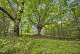 Lot D Wolf Tree Way - Photo 8