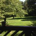 263 Pine Trail - Photo 25