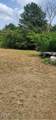 484 Yellow Skin Road - Photo 12
