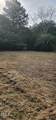 484 Yellow Skin Road - Photo 13