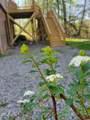 7901 River Ridge Road - Photo 8