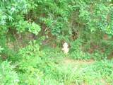 7625 Fayetteville Road - Photo 25