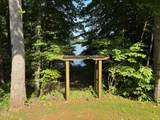 3750 Mebane Rogers Road - Photo 4