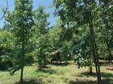 2340 Bowers Store Road - Photo 4