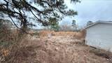 484 Yellow Skin Road - Photo 8