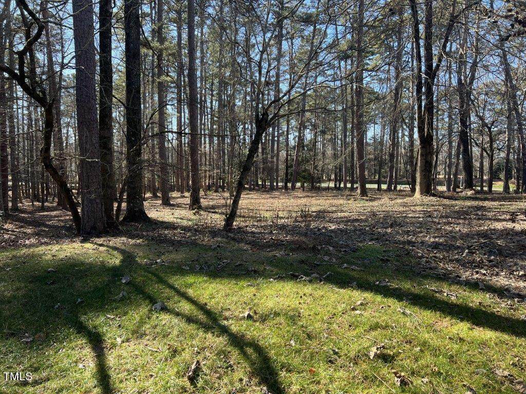 124 Coggins Mine - Photo 1